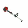 Decespugliatore EFCO DS 2410 D - immagine 2