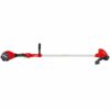Decespugliatore a batteria EFCO DSi 30 - immagine 3