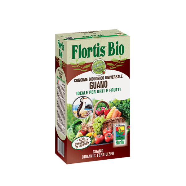Cura di Orto e Frutta FLORTIS - immagine 4