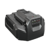 Caricabatterie Standard EGO POWER+ CH2100E - immagine 2