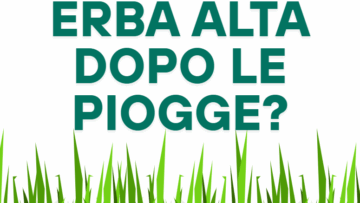 Tagliala con stile e potenza!
