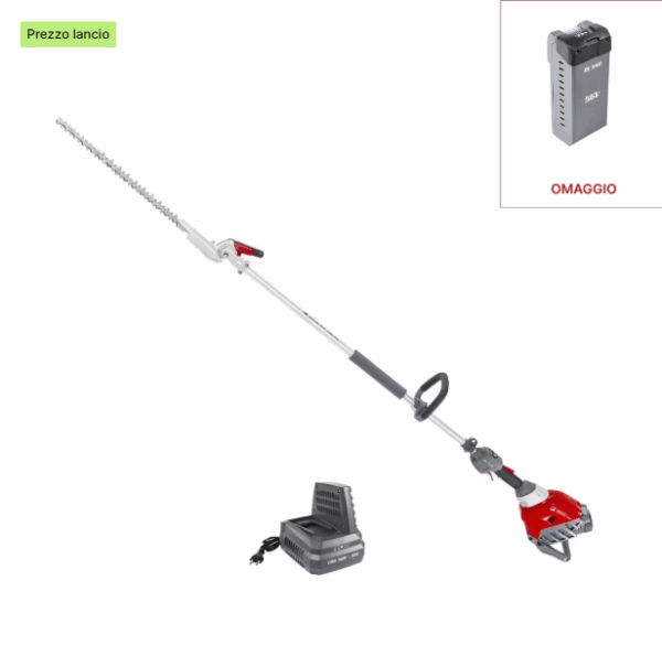 Tagliasiepi a batteria DSi 530 HL con batteria Bi 540 e caricabatterie CRG 520